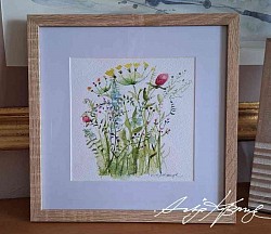 Sommerwiese 27x27