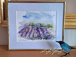 Lavendelfeld 20x30